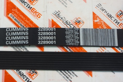 Cummins 3289001 Приводной ребристый ремень